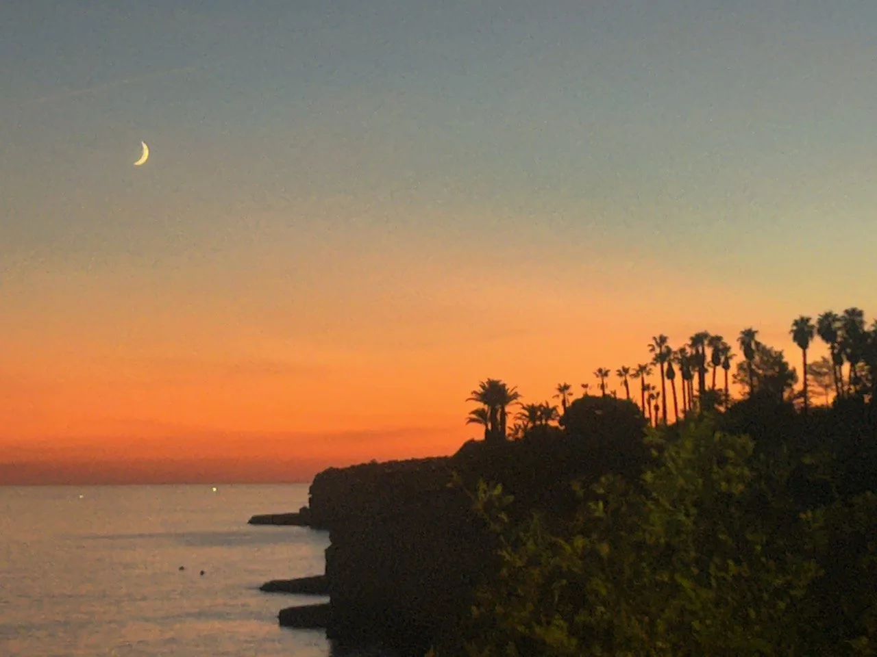 Wellness Travel News: November 2026